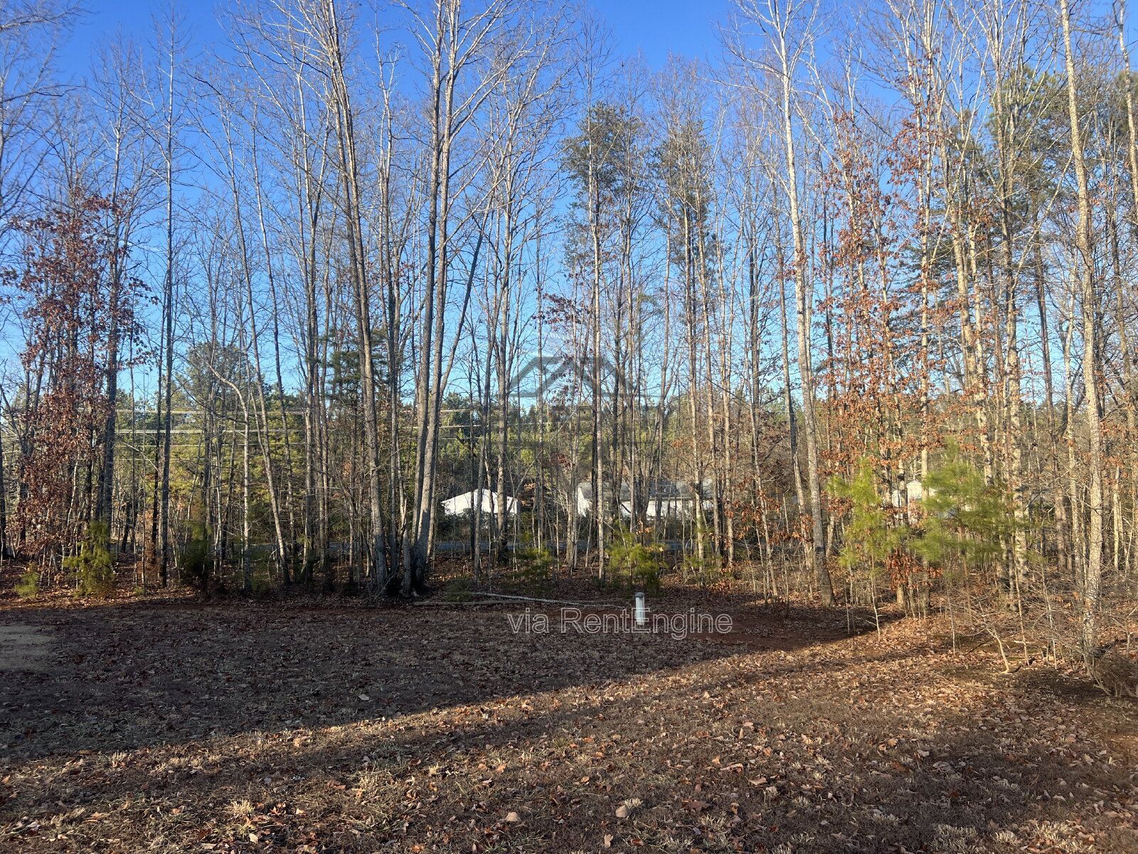 Charming 3-Bedroom, 2-Full Bath Home in Spotsylvania Courthouse property image
