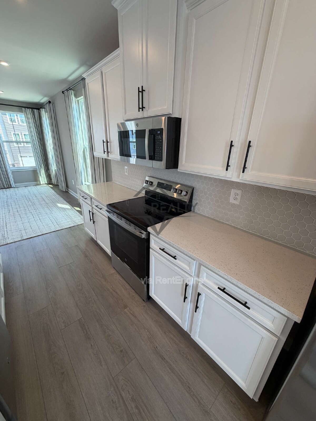 Welcome to Courthouse Commons Townhomes, where you can Rent a brand-new 3 BR 2.5 BA end unit townhome with a one-car garage and a spacious, open-concept floor plan designed for modern living. property image