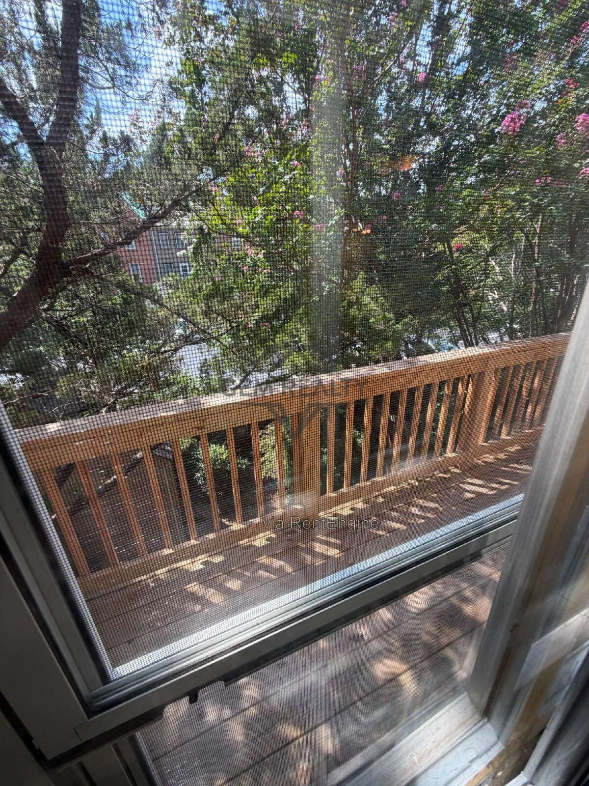 Charming 4-Bed Townhouse Retreat on College Avenue – Spacious 1932 Sq Ft in Fredericksburg! property image