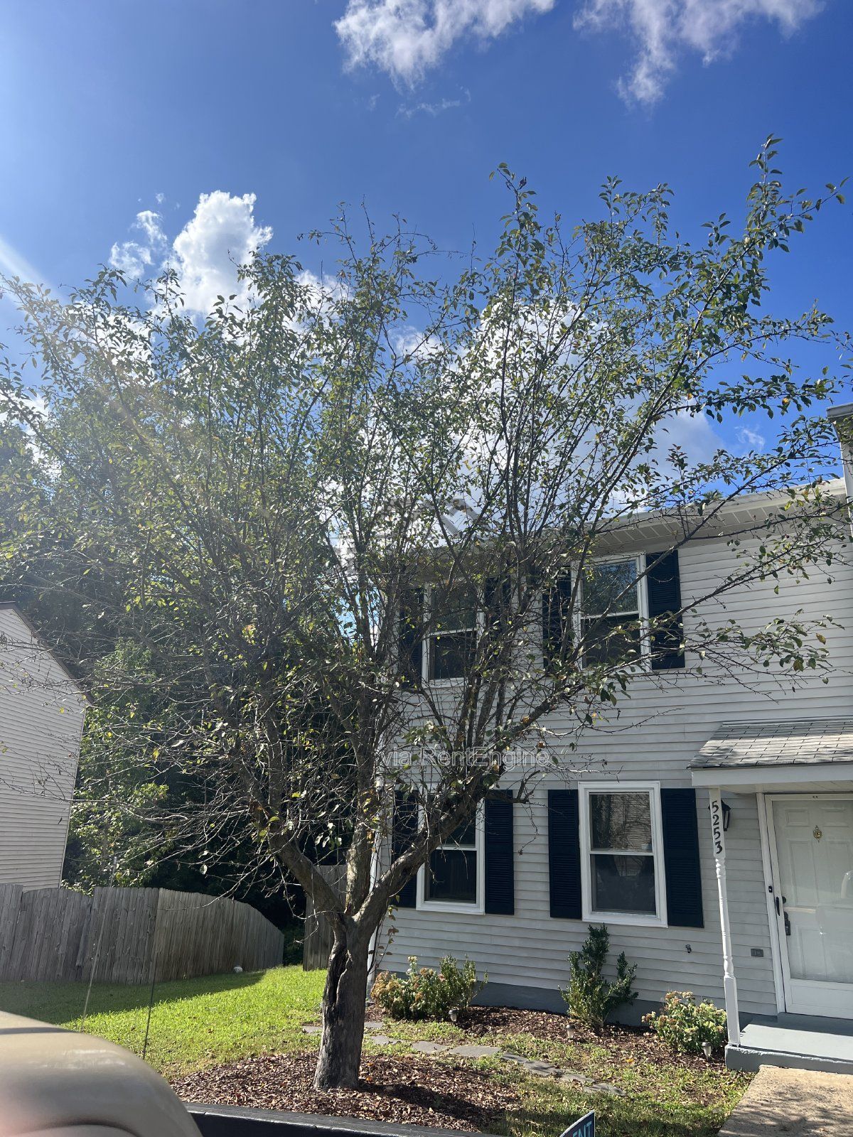 Spacious 3 Bedroom End Unit Townhome in Breezewood Forest in Fredericksburg property image