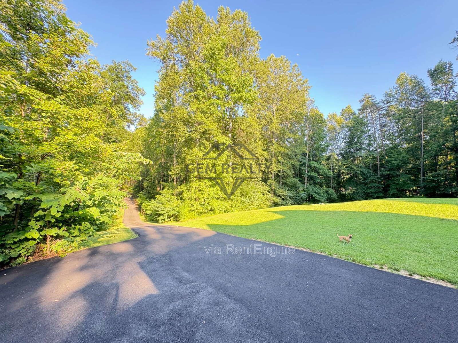 Spacious Multi-Generational Home on 3 Acres | In-Law Suite | No HOA property image