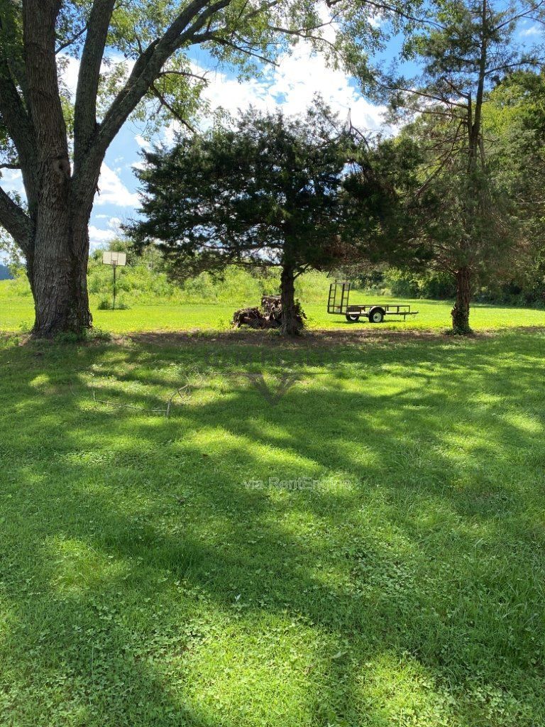 One-Level Living on a Full Acre in the Heart of Spotsylvania – Space, Privacy & Endless Potential! property image